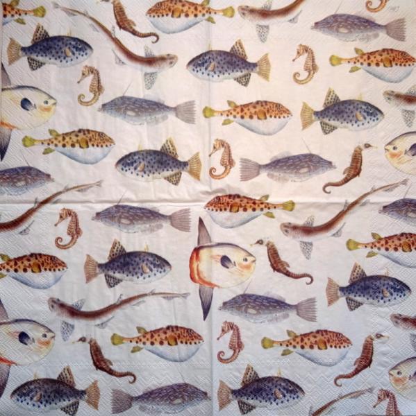 161 Fische - 3-lagig